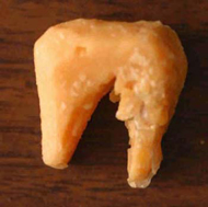 original cheese tooth