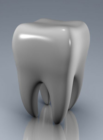 Large Tooth